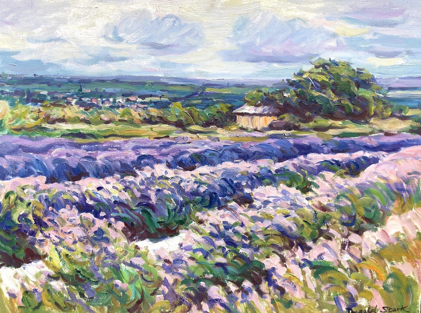 Image of a card painted by Dugald Stark called Lavendar Fields
