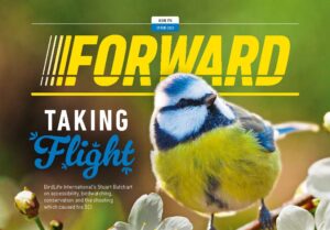 front cover of SIA spring forward magazine showing blue tit with title Taking Flight