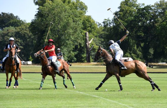 Horses on the field at the SIA polo event 2023